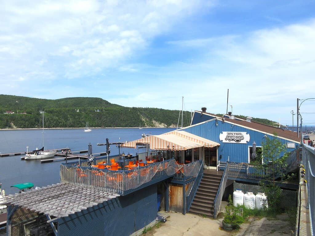 Whale Watching Excursions