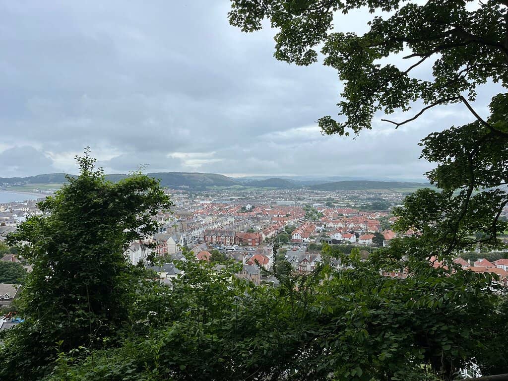 Alice in Wonderland Touches