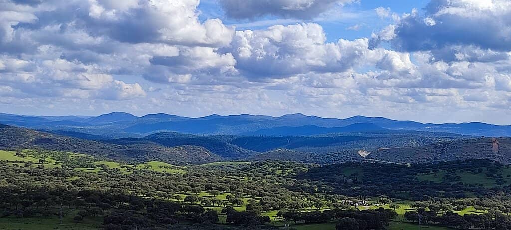 Historic Castle Ruins