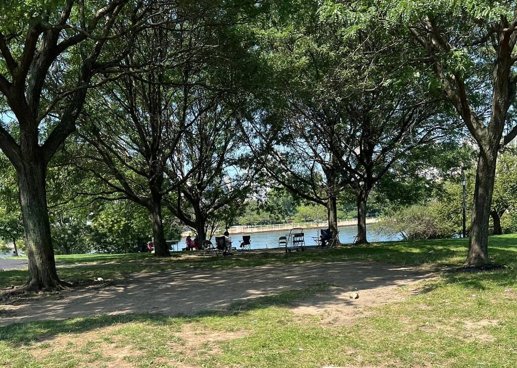Renovated Playgrounds