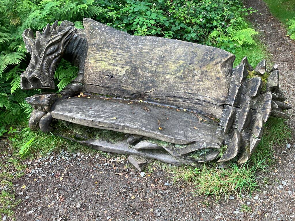 Enchanting Woodland Walk