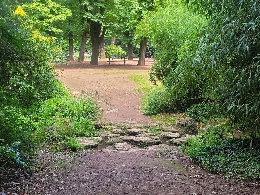 Peaceful Walking Paths