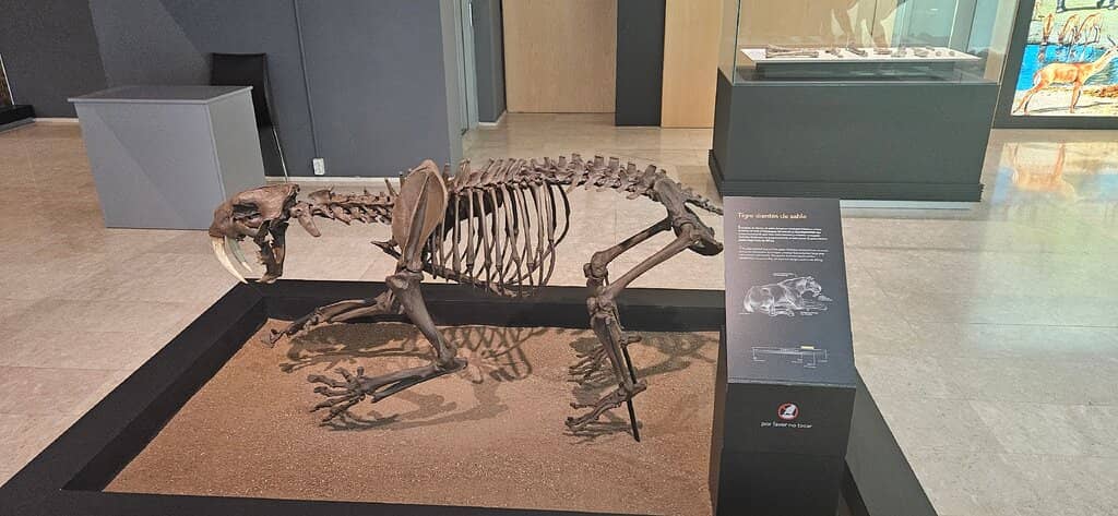 Panoramic Cuenca Views