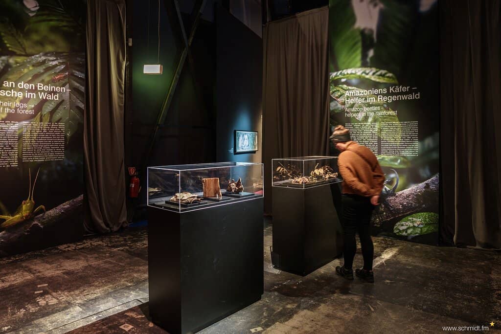 Dresden 1756 Panorama