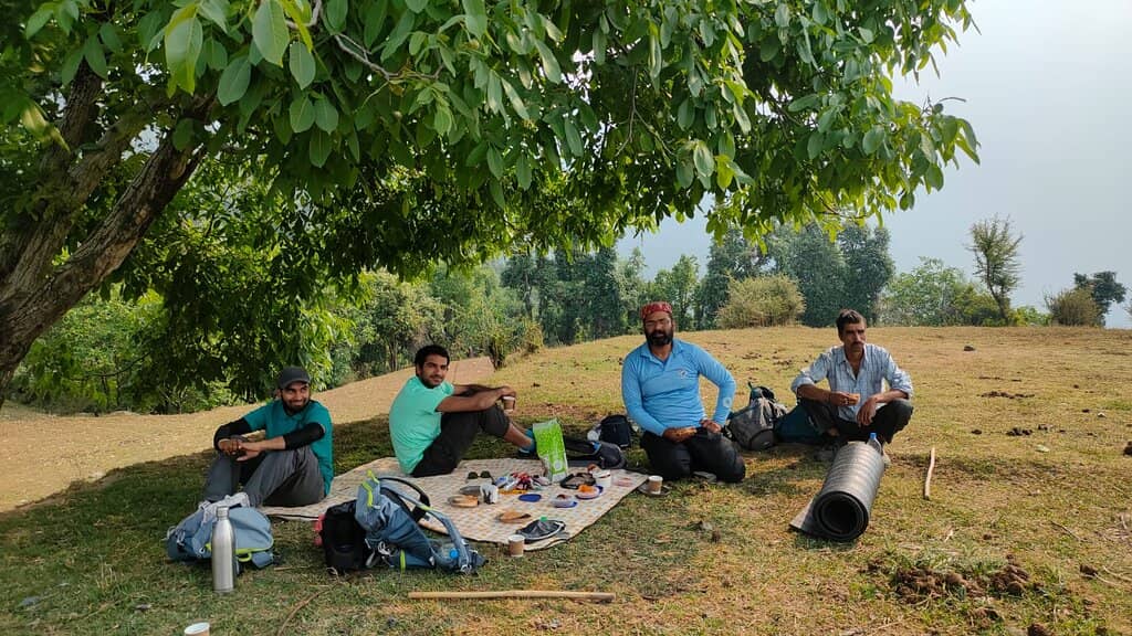 Scenic Tea Garden Views