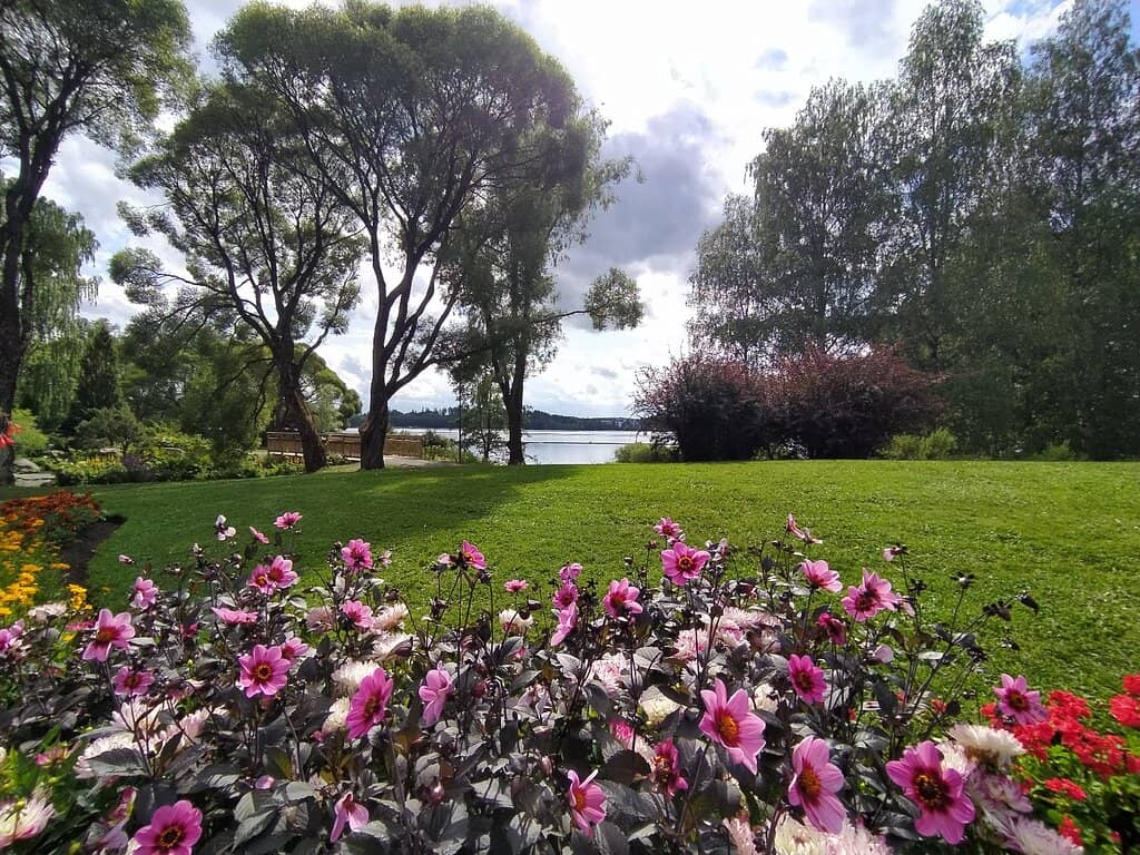 Rose Garden
