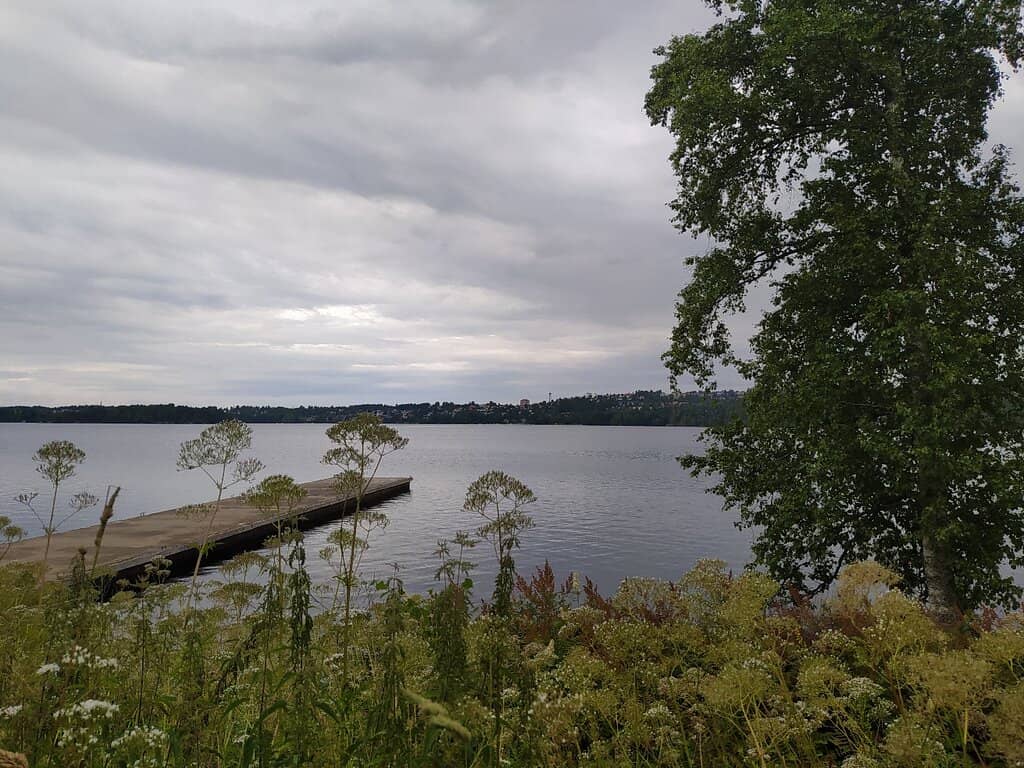 Viikinsaari Nature Trail