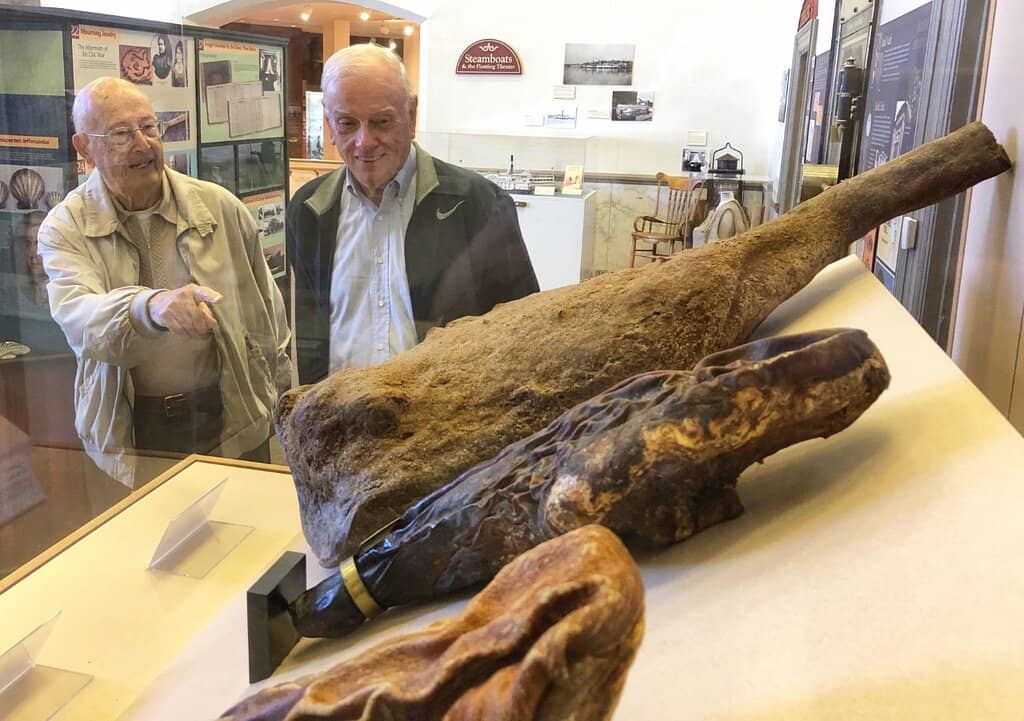 World's Oldest Peanut
