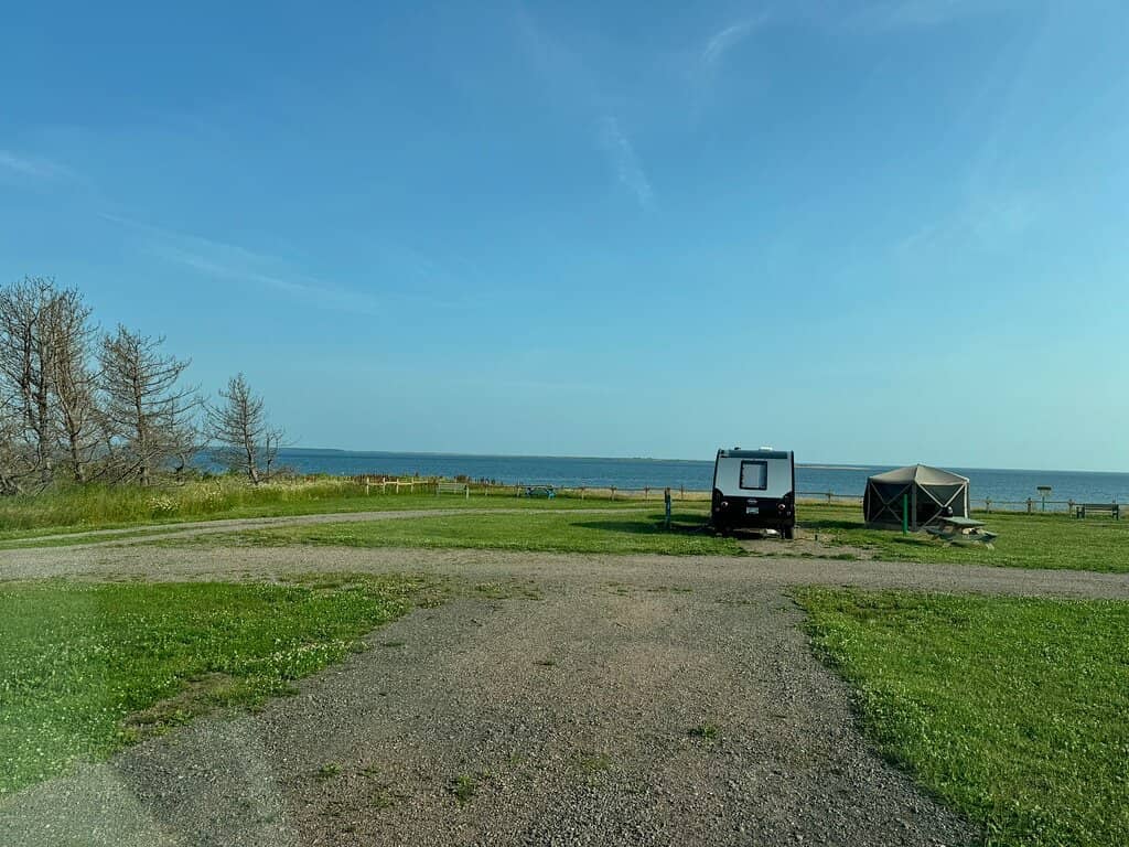 Dog-Friendly Paradise