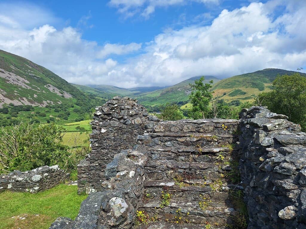 Unique D-Shaped Towers