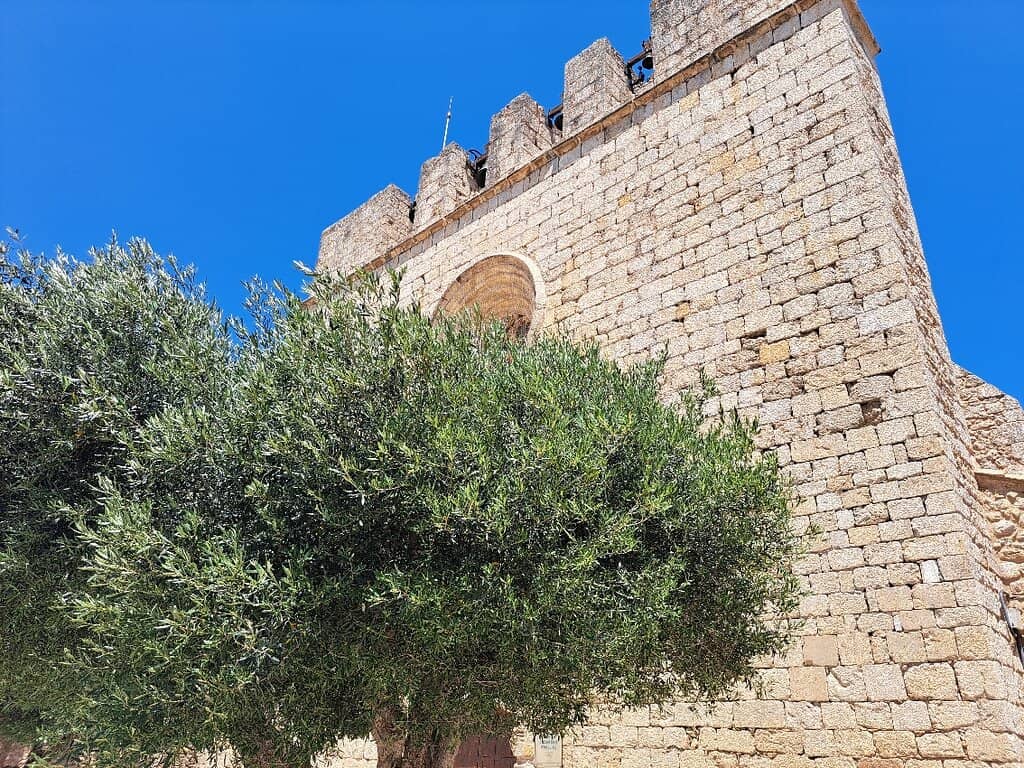 Gastronomic Delights