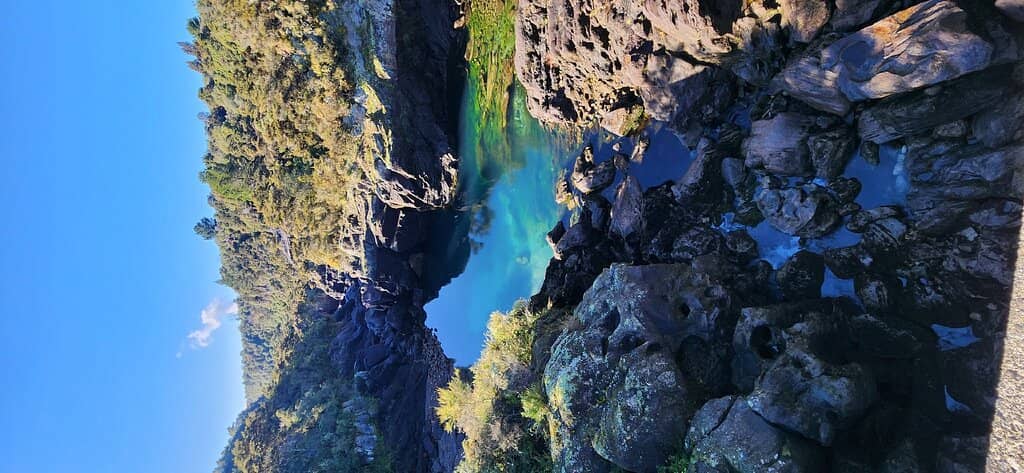 Top Viewpoint