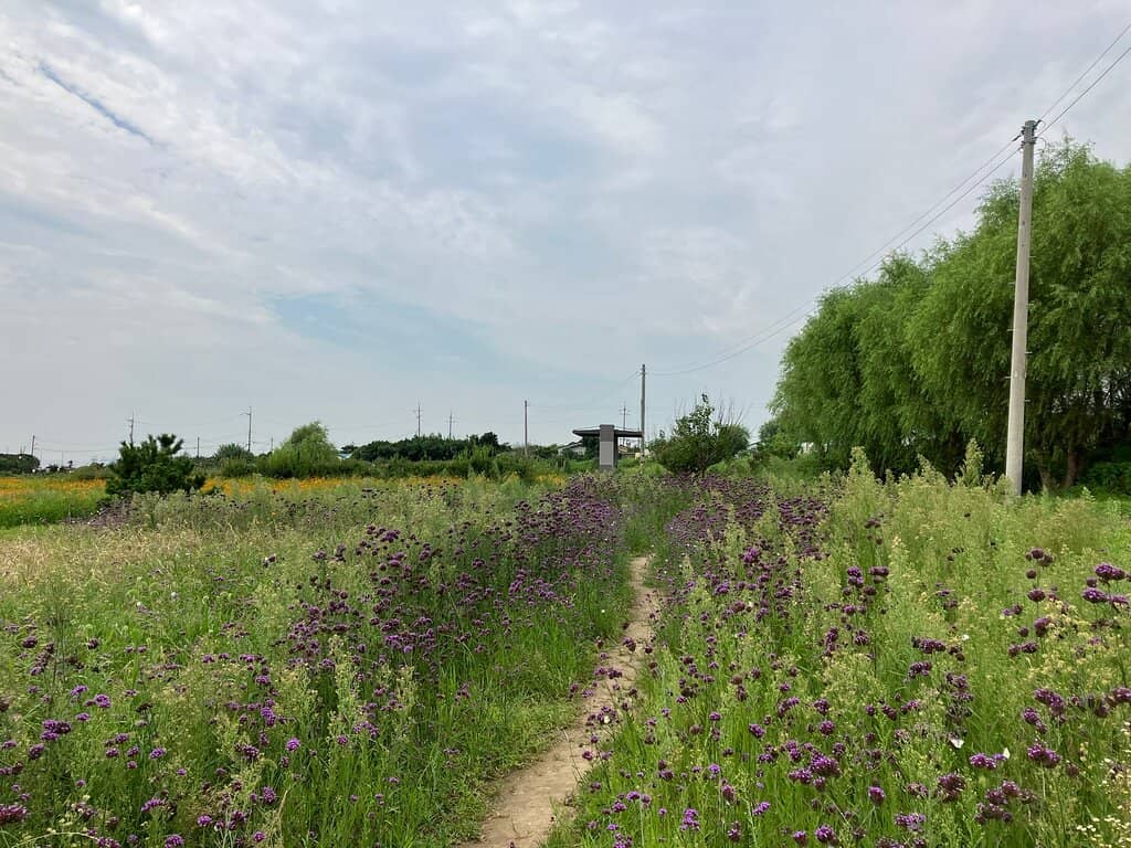 Coastal Walking Trails