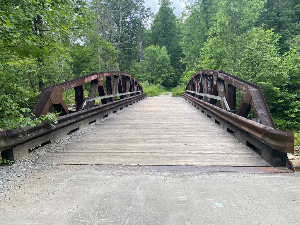 Davidson River