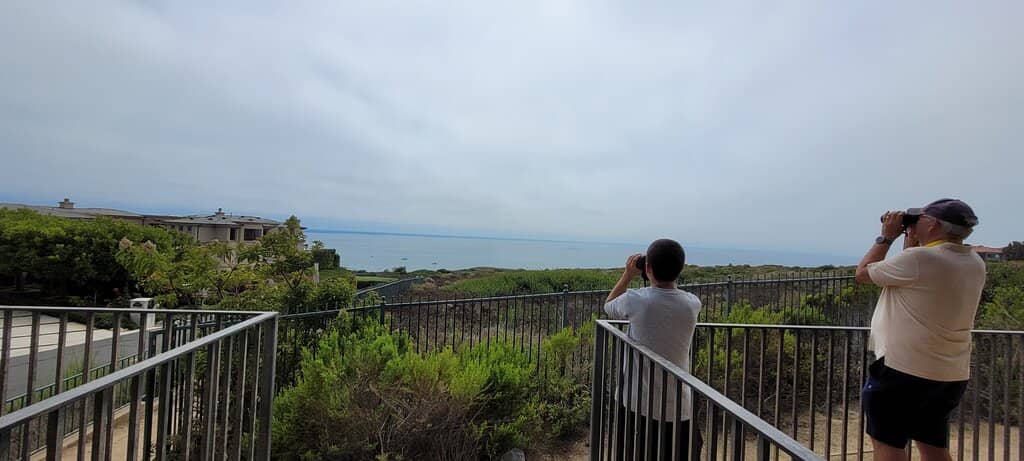 Wildlife Viewing