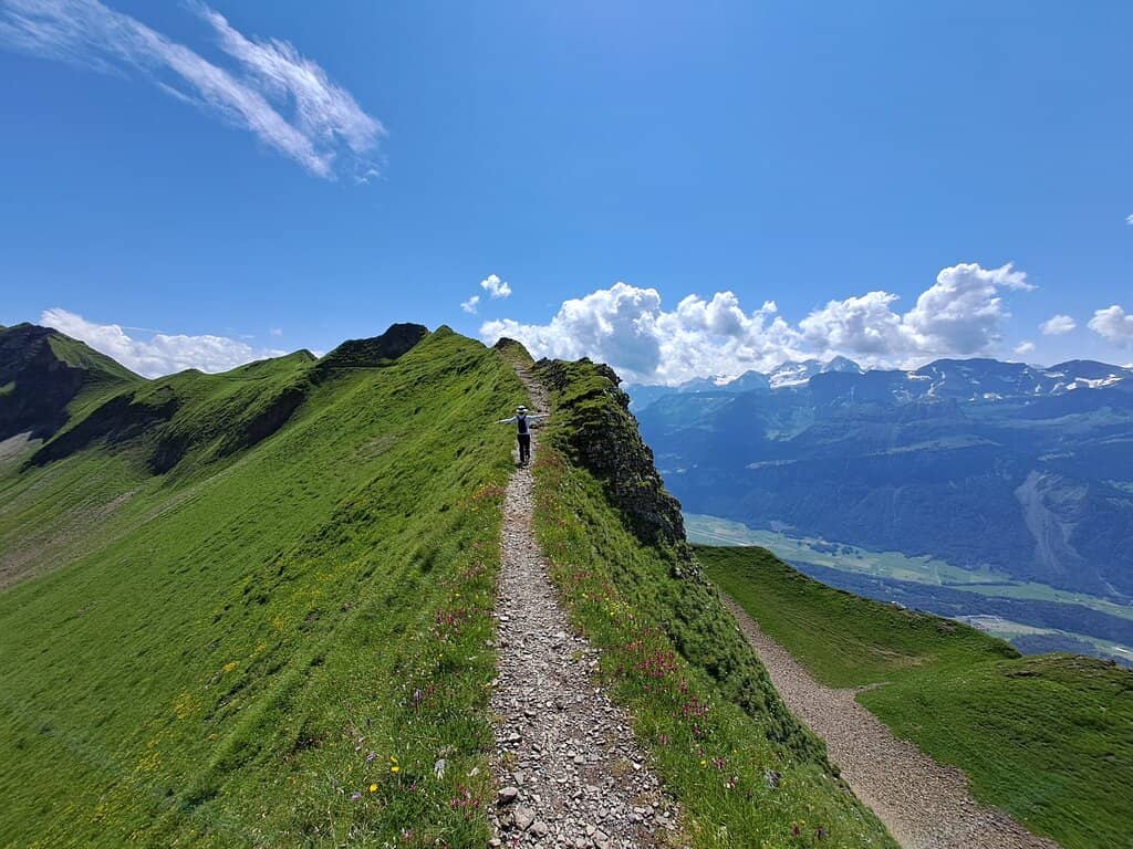 Panoramic Summit Views