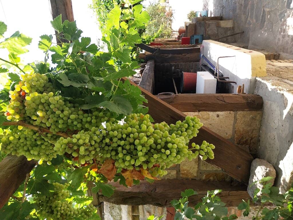 Traditional Greek House