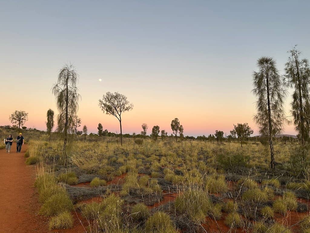 Immersive Cultural Ambiance