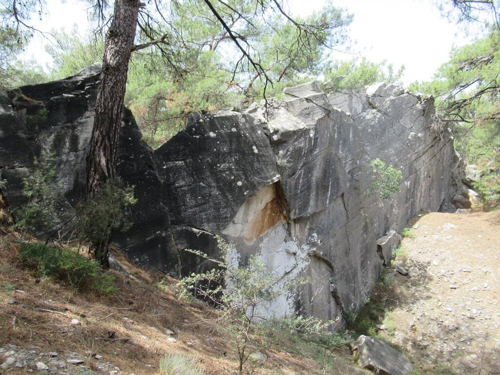 Vertical photo