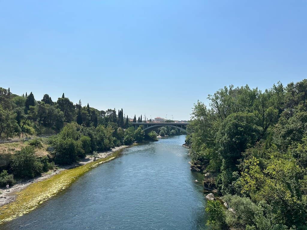 Vertical photo
