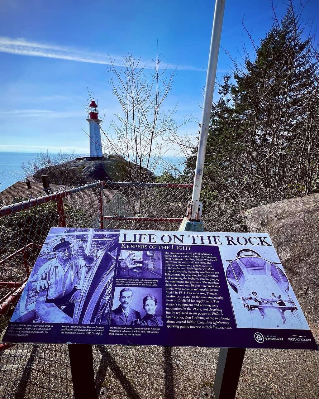 Coastal Rainforest Trails