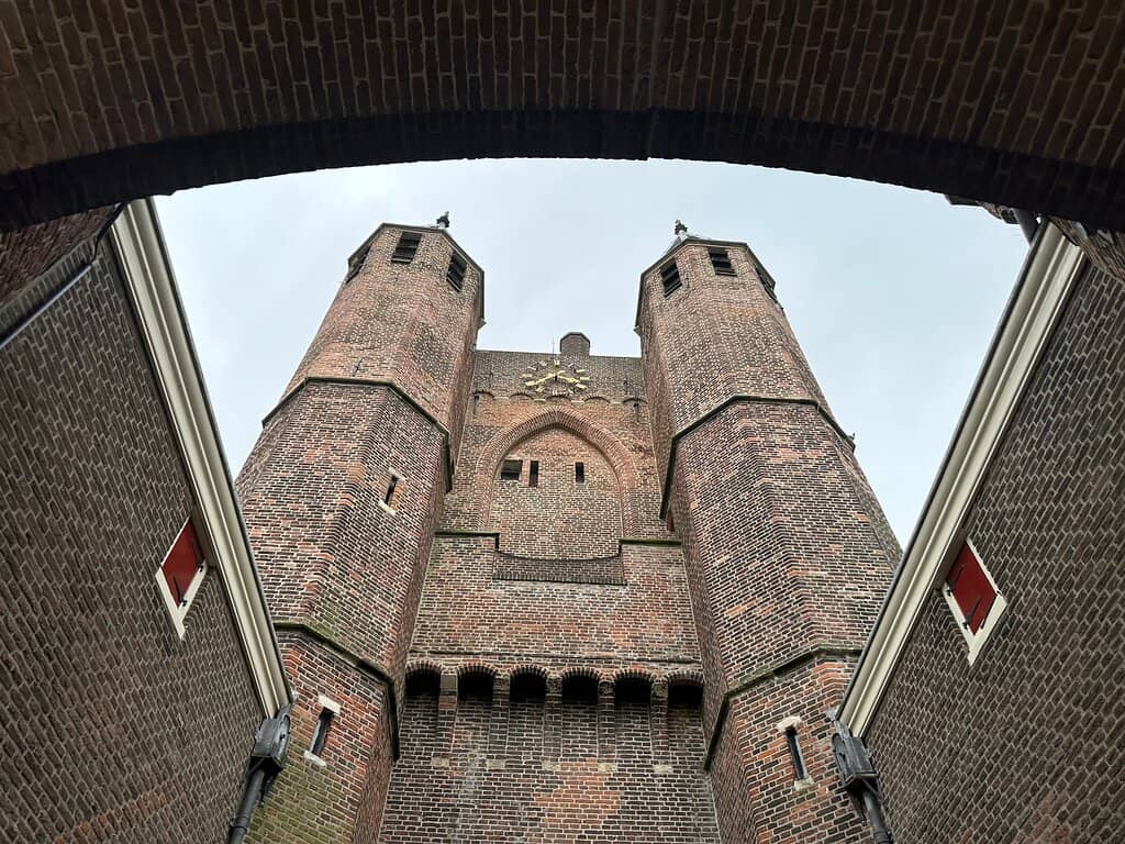 Vertical photo
