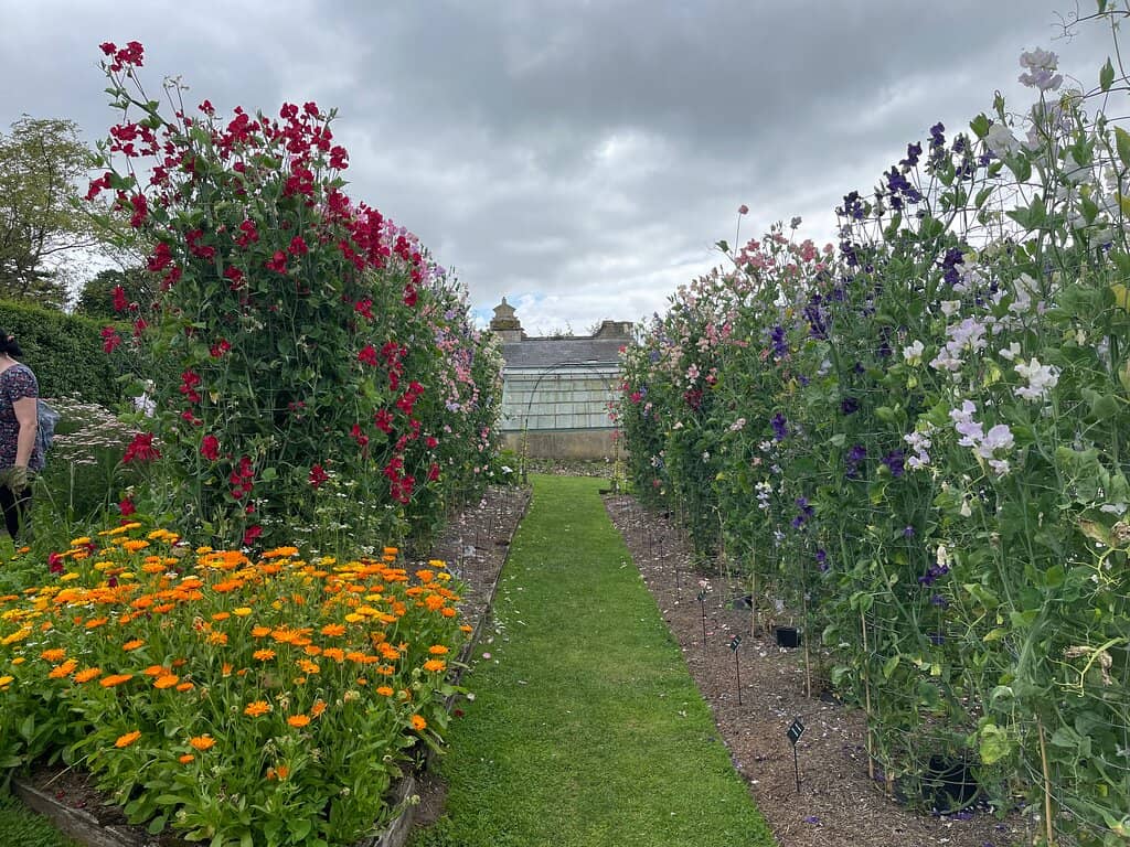 The White Space Garden