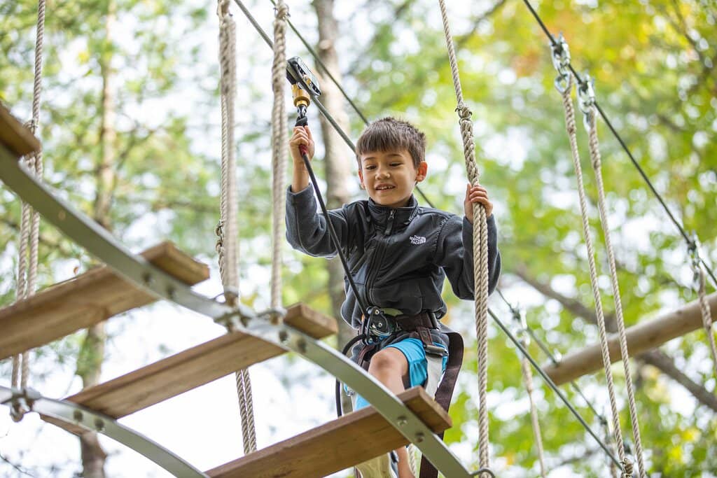Tarzan Swings