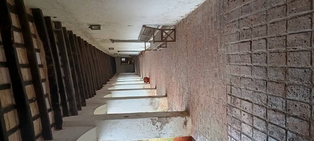 Italian Immigrant Roots