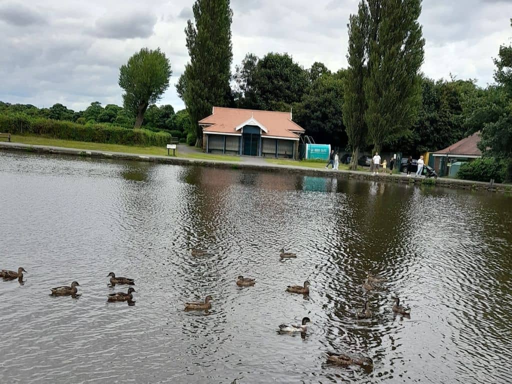 Fontaines D.C. Concert