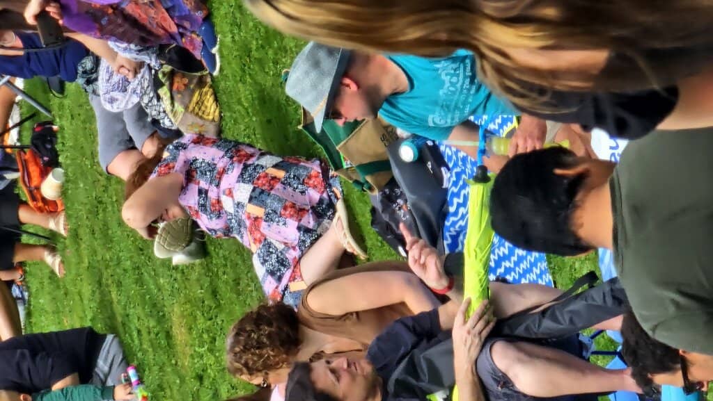 Food & Drink Festivals