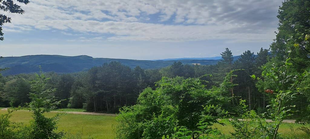 Stroller-Friendly Trails