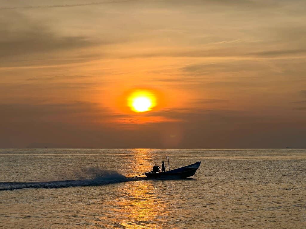 Bioluminescent Plankton