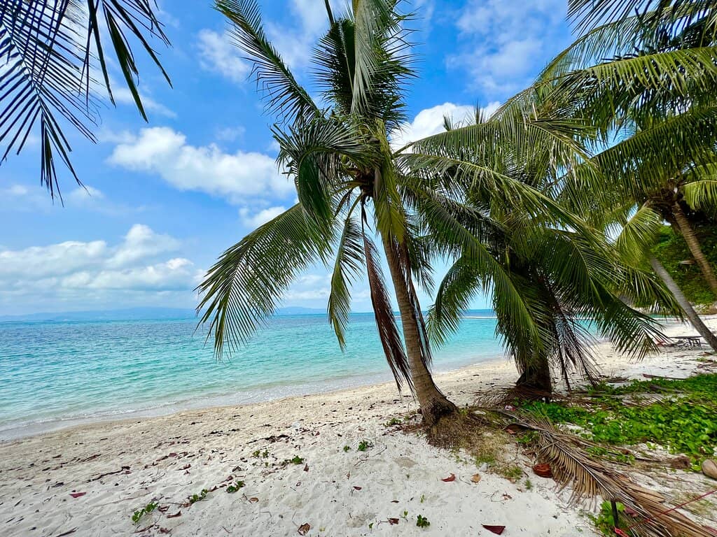 Tranquil Beachfront