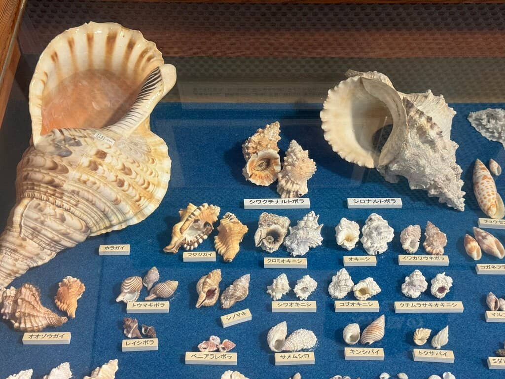 Conservation Insights