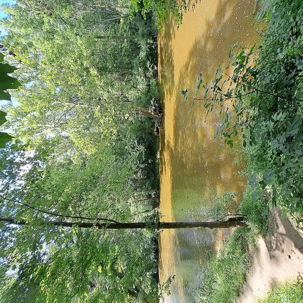 Natural Playscape