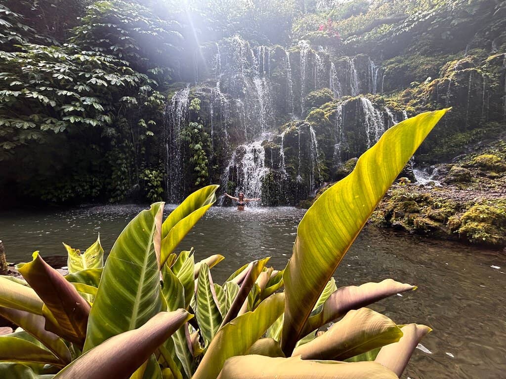 Lush Jungle Trails