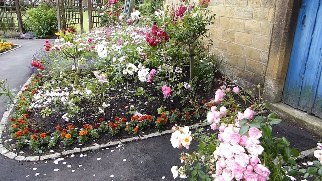Memorial Garden