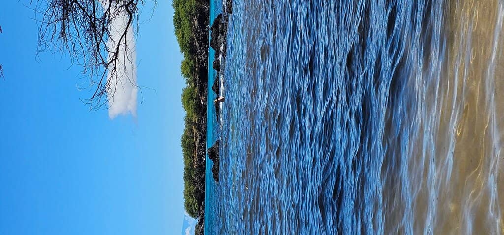 Calm Cove Waters