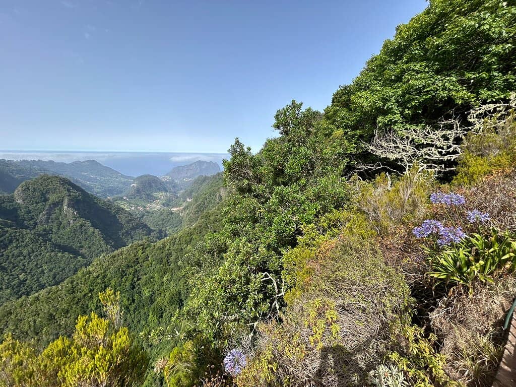 Balcões Viewpoint