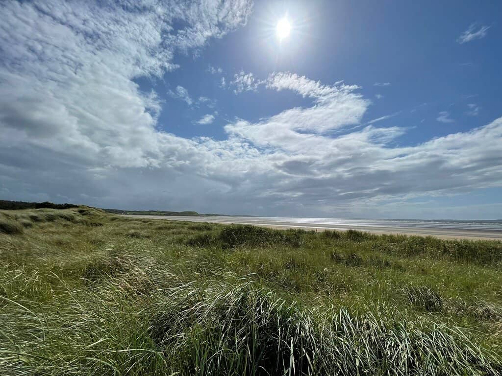 OM Saunas Experience