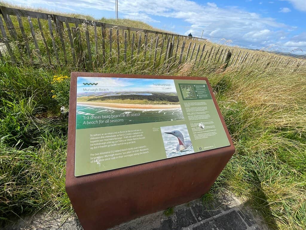 Whispering Pine Forest