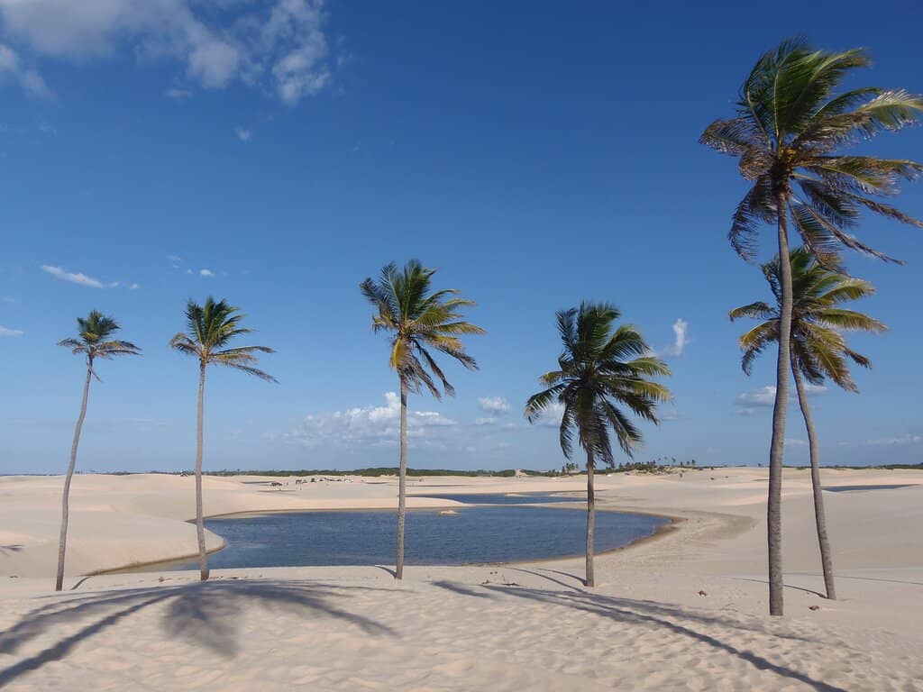 Expansive Sand Dunes