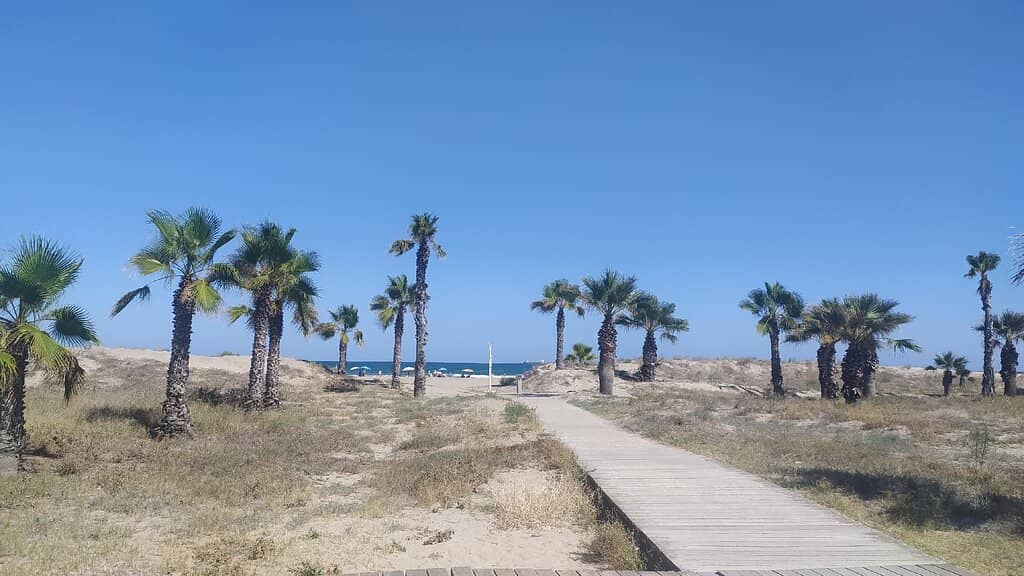 New Promenade