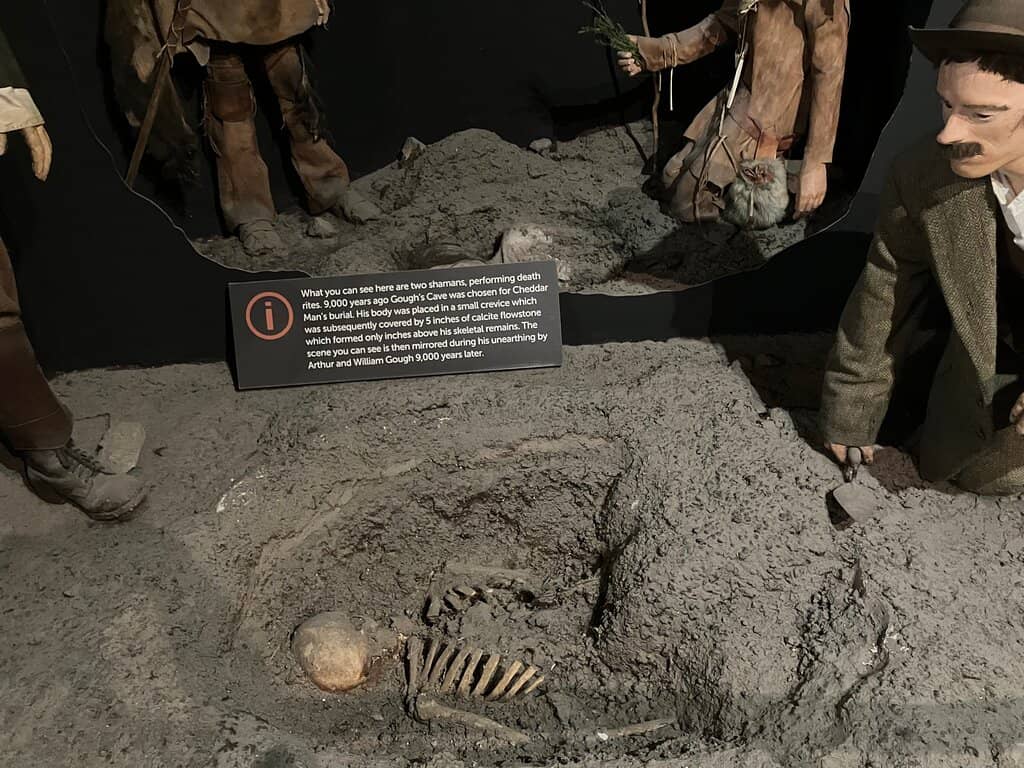 Prehistoric Tools & Artifacts