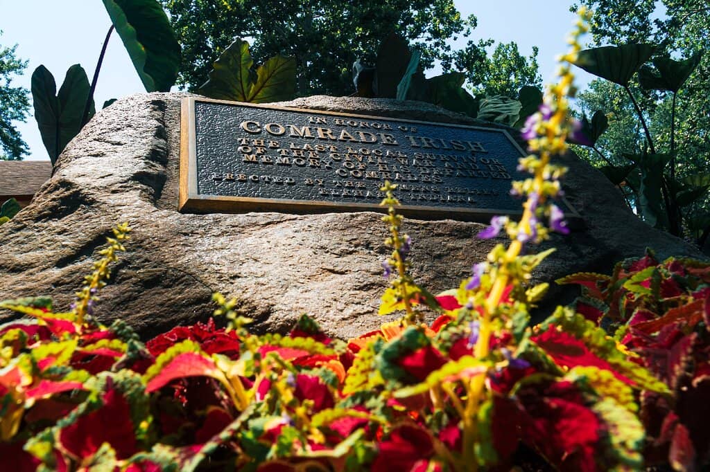 Riverside Relaxation