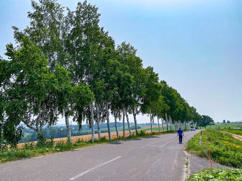 Seasonal Flower Fields