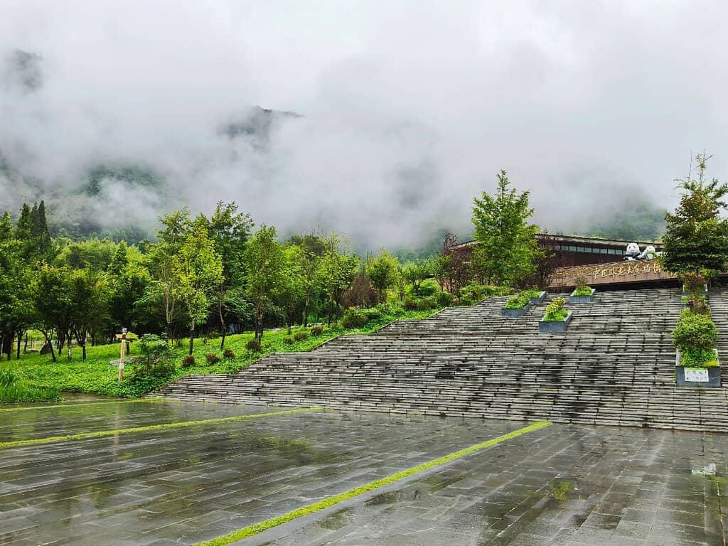 Panda Breeding and Research Center