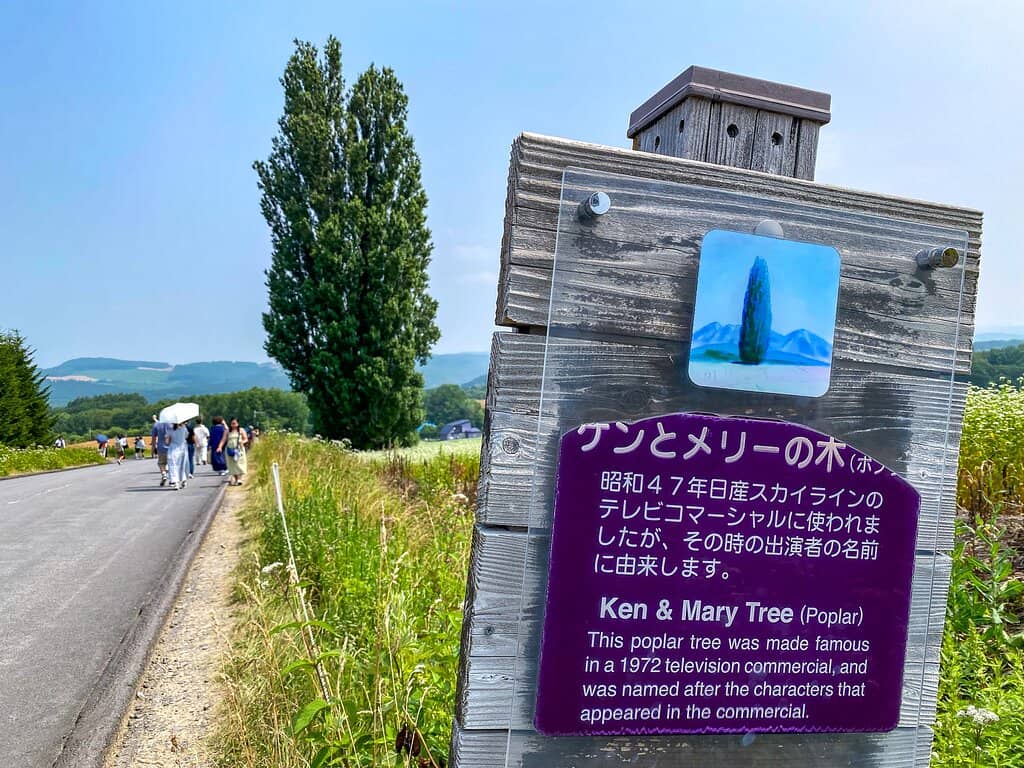 Patchwork Road Scenery