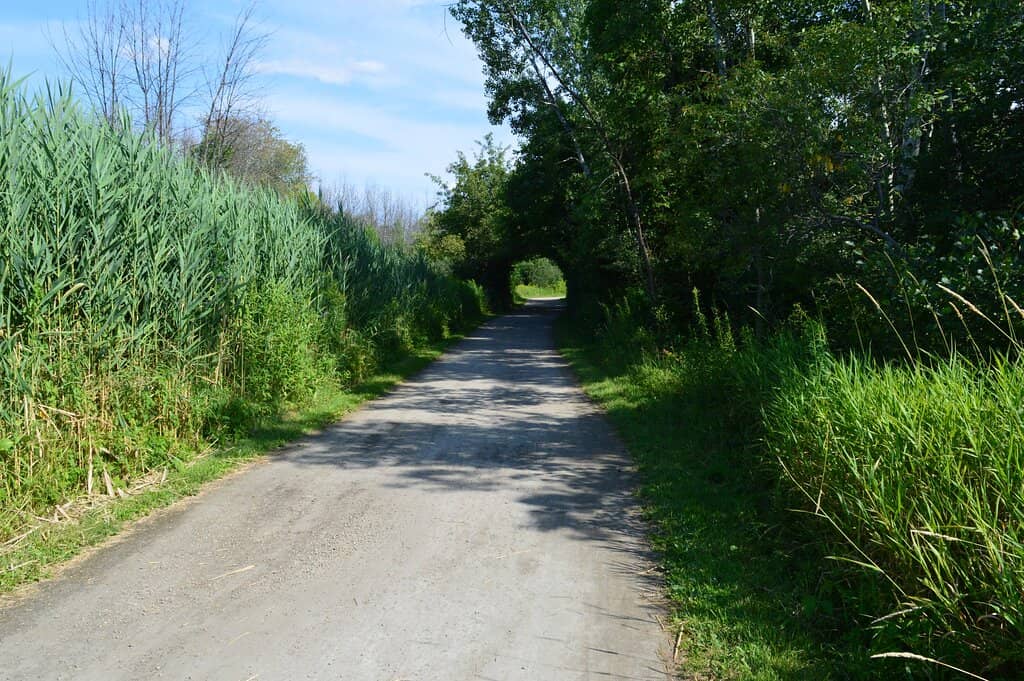 Winter Cross-Country Skiing
